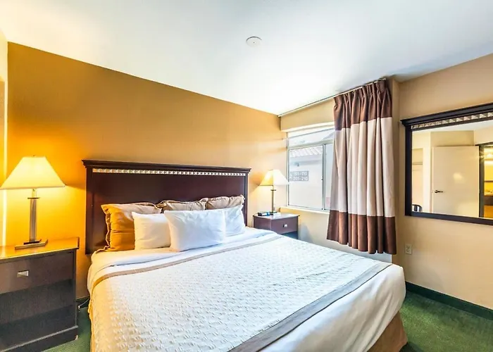 1 Bd 1 B Bnb3 Chandler